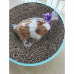 7" Realistic Plush Guinea Pig Toy Simulation Stuffed Animal Soft Toy Decor Gift (Dark Brown+White) $42.21 Stuffed Animals & T...