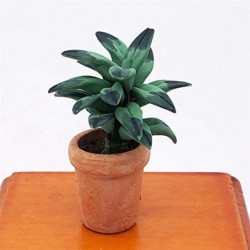 Dollhouse Decoration Accessories 1:12 Dollhouse Miniature Mini Green Leaf Pot Plant $17.36 Dollhouse Accessories