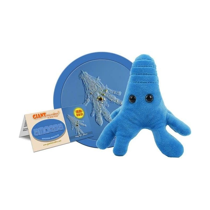 GIANTmicrobes Amoeba (Amoeba Proteus) Blue Plush Toy $23.83 Plush Figure Toys