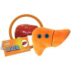 GIANTmicrobes Liver Plush – Anatomical Organ Toy Get Well Gift for Post-Surgery or Illness Unique Fun Gift for Friends Family...