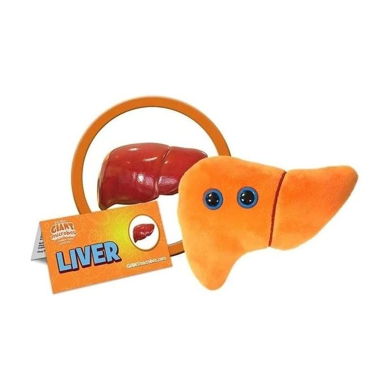 GIANTmicrobes Liver Plush – Anatomical Organ Toy Get Well Gift for Post-Surgery or Illness Unique Fun Gift for Friends Family...