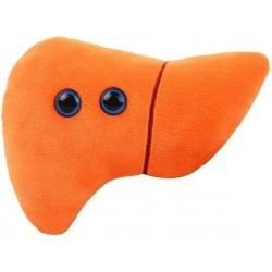 GIANTmicrobes Liver Plush – Anatomical Organ Toy Get Well Gift for Post-Surgery or Illness Unique Fun Gift for Friends Family...