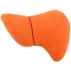 GIANTmicrobes Liver Plush – Anatomical Organ Toy Get Well Gift for Post-Surgery or Illness Unique Fun Gift for Friends Family...