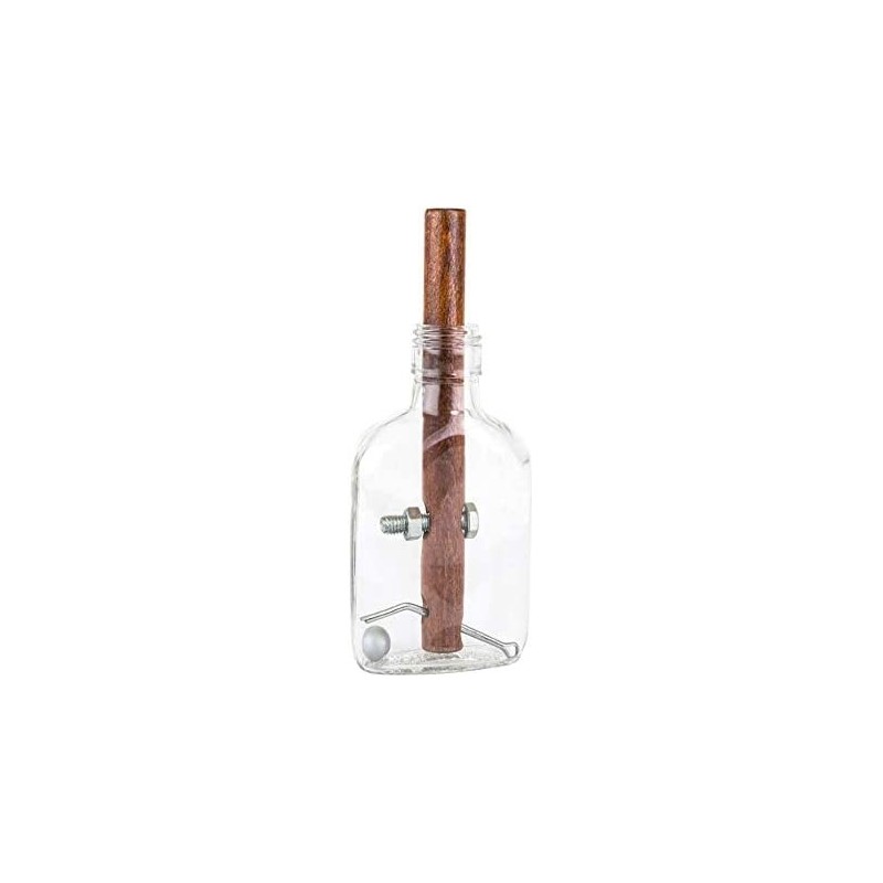 Glass Bottle Puzzle Adult Puzzles Assembly and Disentanglement Puzzles Gifts $29.19 Brain Teaser Puzzles