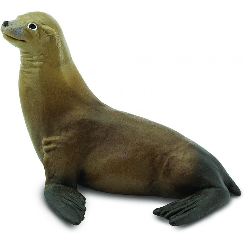 Safari Ltd Wild Safari Sea Life Sea Lion Realistic Hand-Painted Toy Figurine Model For Ages 3 And Up $18.06 Kids' Play Animal...