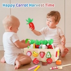 Toddlers Wooden Montessori Educational Toys Gift for 2 3 4 Year Old Baby Boys Girls Carrot Harvest Toys Game Preschool Learni...