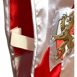 29003LT Prince Lionheart Toy Cape for Kids | Part of A Kid's Costume Line $51.51 Kids' Costumes