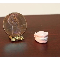 Dollhouse Miniature False Teeth or Dentures $21.92 Dollhouse Accessories