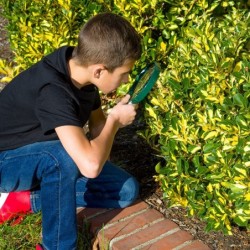 BigEye Magnifier with Over-sized 5-Inch Lens (HU-20) $20.05 Nature Exploration Toys