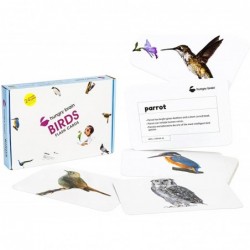 Educational - Birds Flash Cards for Toddlers | Early Learning Flash Cards for Brain Development of Preschool Kids | 24 Image ...