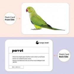 Educational - Birds Flash Cards for Toddlers | Early Learning Flash Cards for Brain Development of Preschool Kids | 24 Image ...