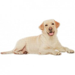 Labrador 343 Piece Puzzles for Adults Animals Shaped Puzzles Unique Shaped Jigsaw Puzzles Dog Jigsaw Puzzles Labrador Unique ...