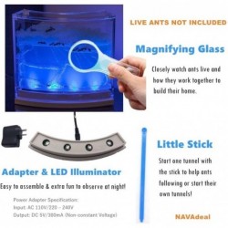 Ant Farm Habitat for Kids W/ LED Light – Great Educational & Science Kit with Nutrient Blue Gel Observing Ants Create 3D Tunn...