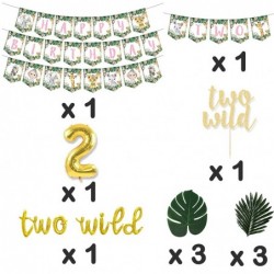 Two Wild Birthday Decorations for Girl Safari Jungle Balloon Pink Tropical Palm Leaves Backdrop Photo Banner Garland Party Su...