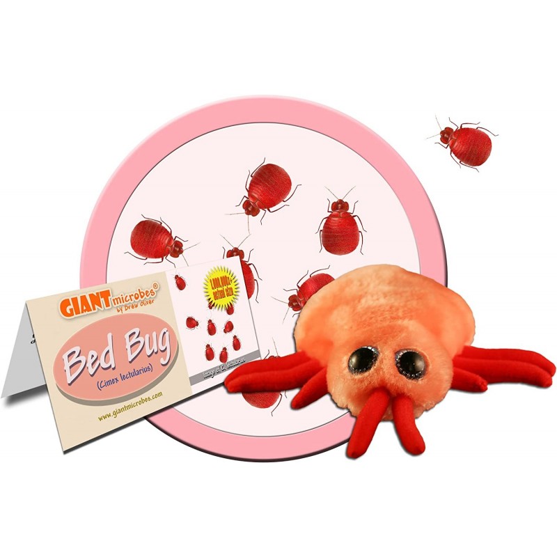 GIANTmicrobes Bed Bug (Cimex lectularius) Plush Toy $32.66 Plush Figure Toys