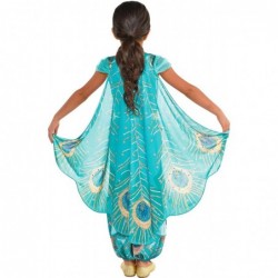 Princess Jasmine Whole New World Costume for Kids Disney Aladdin Size Medium Peacock Jumpsuit with Cape $48.81 Kids' Costumes