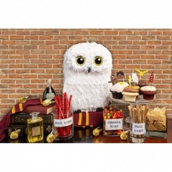 Owl Pinata — for Wizard Theme Woodland Forest Animal Parties — Birthday Party Supplies Pinatas and Decorations — Cute White S...