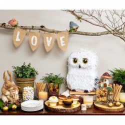 Owl Pinata — for Wizard Theme Woodland Forest Animal Parties — Birthday Party Supplies Pinatas and Decorations — Cute White S...