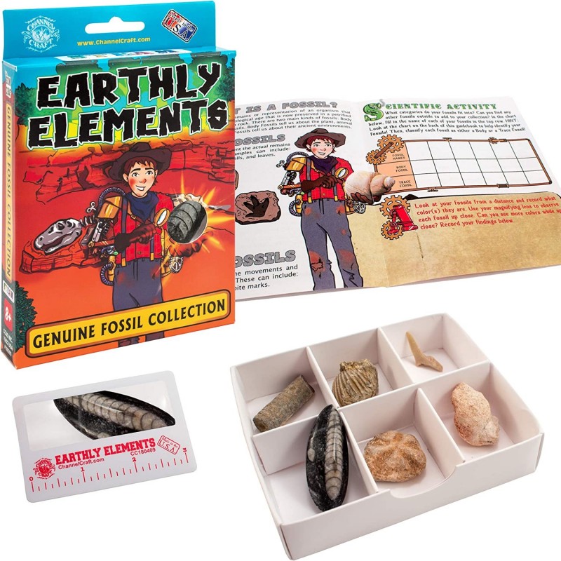 Earthly Elements Genuine Fossil Collection $20.14 Educational Science Kits