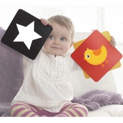 Baby Flash Cards 6 to 12 Months Black And White Cards for Babies With Holder Visual Stimulation Cards For Babies High Contras...