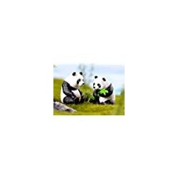 Panda Figurines Plastic Animals Miniature Figurines Cake Topper DIY Fairy Garden Miniature Moss Landscape for Home Decoration...