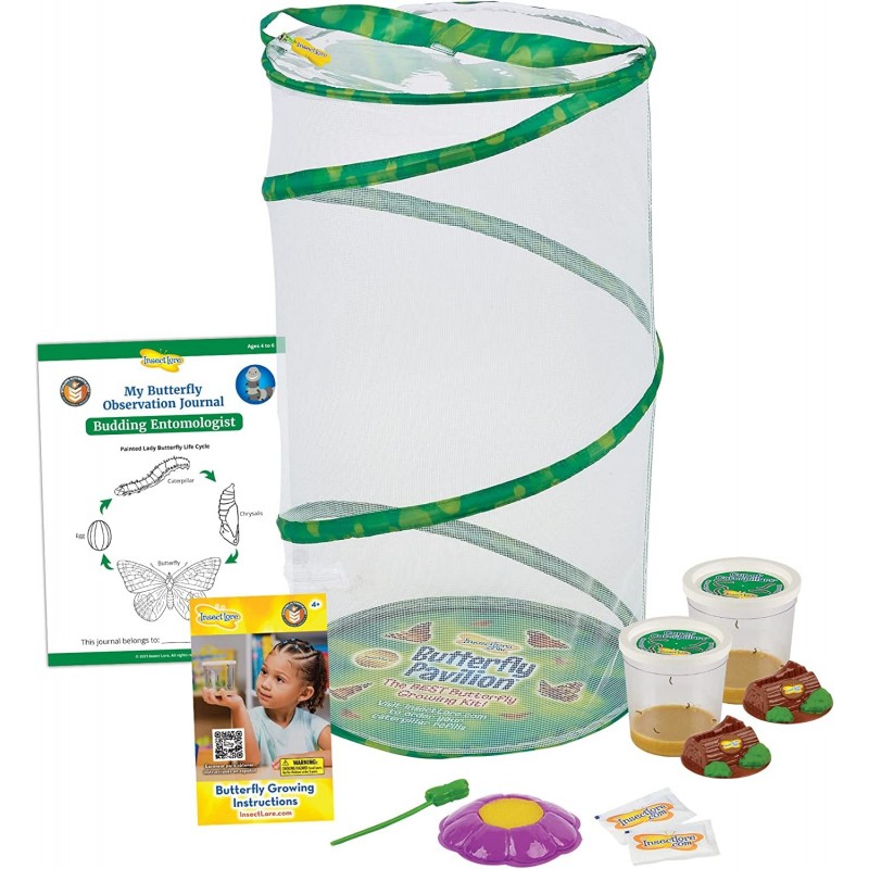 Butterfly Pavilion: Pavilion Habitat and Two Live Cups of Caterpillars with STEM Butterfly Journal – Life Science & STEM Educ...