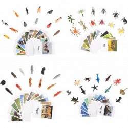 LOGANUSJ 48 PCS Montessori Marine Insects Poultry and Zoo Animals Figure Match 4 Sets - Matching Cards Montessori Language Ma...