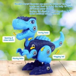 Dinosaur Toys for 3 4 5 6 7 8 Year Old Boys Take Apart Dinosaur Toys for Kids Learning Educational Building Dinosaur Toys wit...