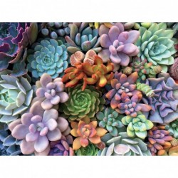 Succulents - Pretty Pastels - Oversized 300 Piece Jigsaw Puzzle $18.36 Jigsaw Puzzles