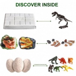 Dinosaur Fossil Digging Kit for Kids Dino Eggs & Fossil Excavation Dinosaur Fossil + Dinosaur Tooth + Dinosaur Eggs Excavatio...