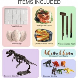 Dinosaur Fossil Digging Kit for Kids Dino Eggs & Fossil Excavation Dinosaur Fossil + Dinosaur Tooth + Dinosaur Eggs Excavatio...