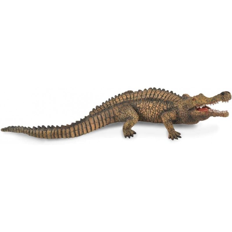 Prehistoric Life Sarcosuchus Toy Dinosaur Figure - Authentic Hand Painted & Paleontologist Approved Model 7.3"L x 2"H $20.62 ...