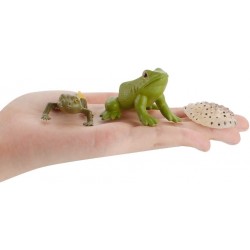 5 PCS Frog Animal Life Cycle Model Figure Classroom Accessories Party Supplies Cake Toppers Desktop Decoration Educational De...