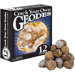 Break Open 12 Geodes – Geode Kit with 12 Premium Break Your Own Geodes Filled with Crystals Geology Gifts Science Toys Earth ...