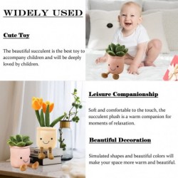 9.84" Succulent Plant Plush Stuffed Flower Pot Plushie Kawaii Toy for Kids $22.88 Plush Figure Toys