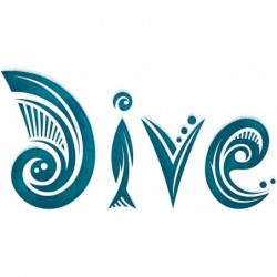 Dive Board Game - Unique Transparent Ocean Cards Push Your Luck Catch a Ride on a Sea Turtle or Dolphin - First to 23 Points ...