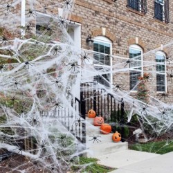 1000 sqft Spider Web Halloween Decorations with 100 Fake Spiders Stretchy Spider Web Stretch Cobwebs for Halloween Decoration...