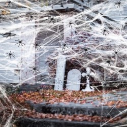 1000 sqft Spider Web Halloween Decorations with 100 Fake Spiders Stretchy Spider Web Stretch Cobwebs for Halloween Decoration...