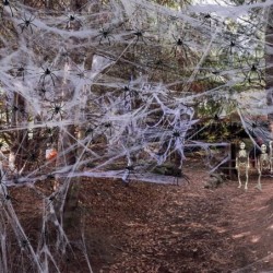 1000 sqft Spider Web Halloween Decorations with 100 Fake Spiders Stretchy Spider Web Stretch Cobwebs for Halloween Decoration...