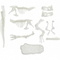 DIG & Discover Dino Tyrannosaurus-Rex Fossil Excavation Kit | Girls and Boys Fossil Dig Kit | Glow in The Dark Skeleton | Din...