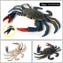 Realistic Crab Marine Animal Model Toys 2 Pcs Simulated Sea Life Animals Figurine Collection Sea Creature Science Educational...