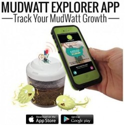 MudWatt STEM Kit: Clean Energy from Mud! | Classic $67.28 Educational Science Kits