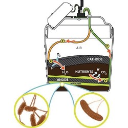 MudWatt STEM Kit: Clean Energy from Mud! | Classic $67.28 Educational Science Kits