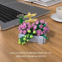 Succulents Building Sets for Adults Build a Succulents Display for The Home or Office Artificial Cute Plants for Desktop Deco...