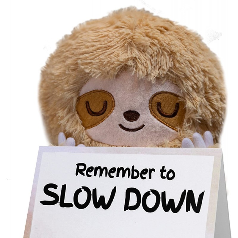 Remember to Slow Down - Cute Anti Anxiety and Relaxation Gift for Woman and Men - Cute Sleeping Sloth Plushie Stuffed Animal ...