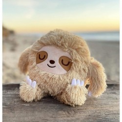 Remember to Slow Down - Cute Anti Anxiety and Relaxation Gift for Woman and Men - Cute Sleeping Sloth Plushie Stuffed Animal ...