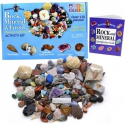 Rock Mineral & Fossil Collection Activity Kit (125+ pcs and NO GRAVEL) 2 Geodes Ammonite Shark Tooth in Matrix Fossilized Poo...