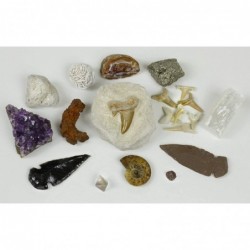 Rock Mineral & Fossil Collection Activity Kit (125+ pcs and NO GRAVEL) 2 Geodes Ammonite Shark Tooth in Matrix Fossilized Poo...