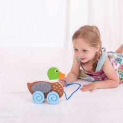 Wooden Duck Pull Along Toy $54.18 Early Development & Activity Toys