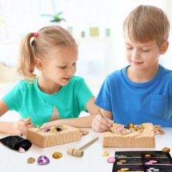 Crystal Mining Kit Educational STEM Science Toys for Kids Gemstone Dig Kit Dig Up 5 Real Crystals Quartz Rock & Mineral Colle...